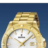 Festina Vendome 166821 3