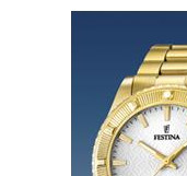 Festina Vendome 166821 4