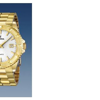 Festina Vendome 166821 6