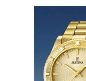 Festina Vendome 166822 4
