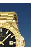 Festina Vendome 166825 5