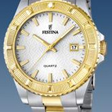 Festina Vendome 166831 2