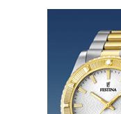 Festina Vendome 166831 4