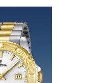 Festina Vendome 166831 5