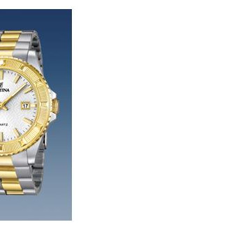Festina Vendome 166831 6