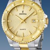 Festina Vendome 166832 2