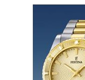 Festina Vendome 166832 4