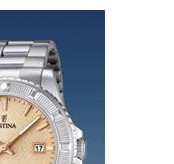 Festina Vendome 166842 5