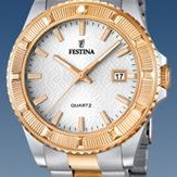 Festina Vendome 166851 2