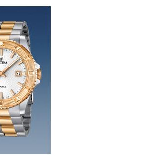 Festina Vendome 166851 6