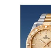 Festina Vendome 166852 4