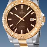 Festina Vendome 166854 2