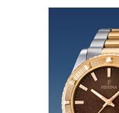 Festina Vendome 166854 4