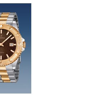 Festina Vendome 166854 6