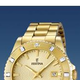 Festina Vendome 166862 3