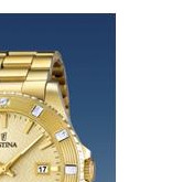Festina Vendome 166862 5