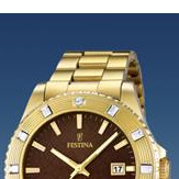 Festina Vendome 166864 3