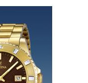 Festina Vendome 166864 5