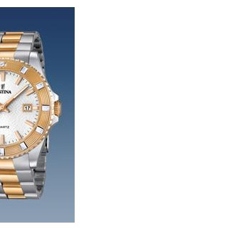 Festina Vendome 166871 6