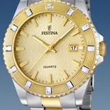 Festina Vendome 166882 2