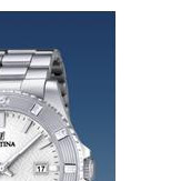 Festina Vendome 166891 5