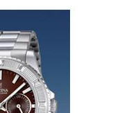 Festina Vendome 166904 5