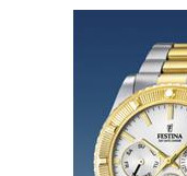 Festina Vendome 166911 4