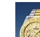 Festina Vendome 166912 4