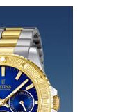 Festina Vendome 166913 5