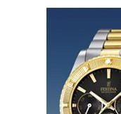 Festina Vendome 166915 4