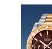 Festina Vendome 166924 4