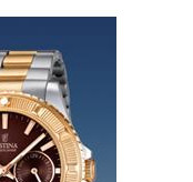 Festina Vendome 166924 5