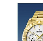 Festina Vendome 166931 4