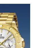 Festina Vendome 166931 5