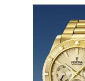 Festina Vendome 166932 4