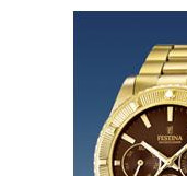 Festina Vendome 166934 4