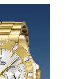 Festina Vendome 166941 5