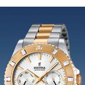 Festina Vendome 166951 3