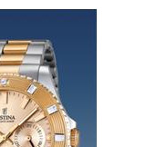 Festina Vendome 166952 5