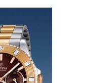 Festina Vendome 166954 5