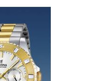 Festina Vendome 166961 5
