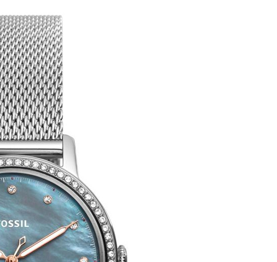 Fossil Neely ES4313 5