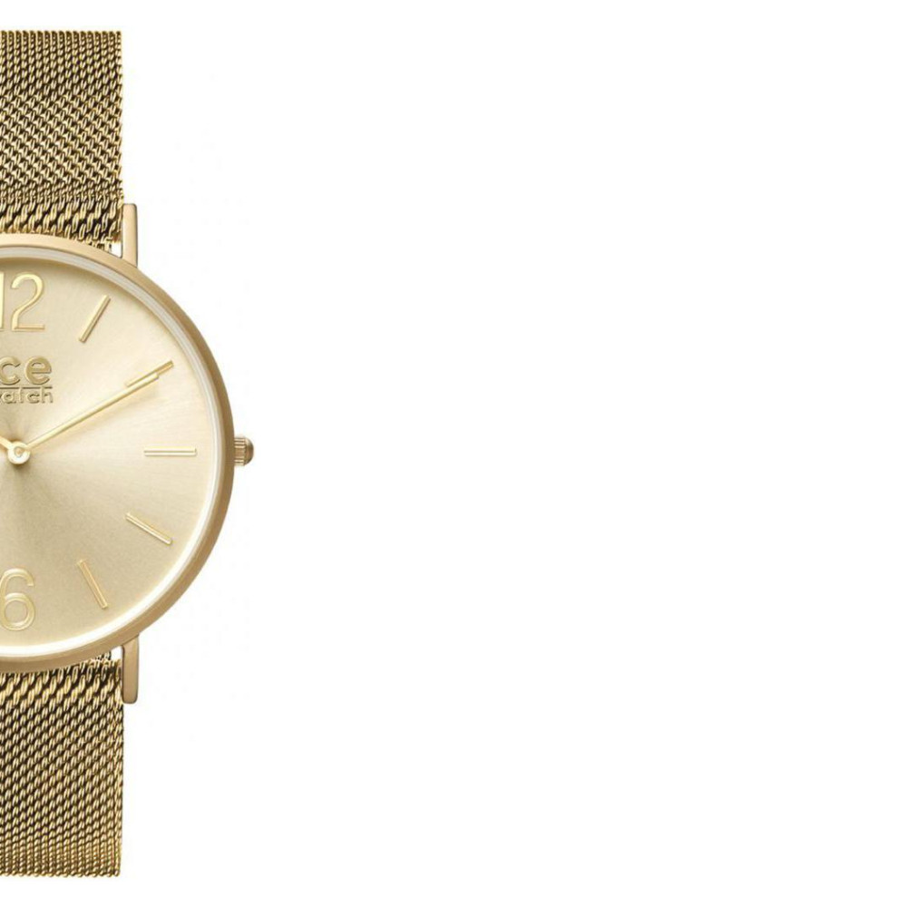 Ice Watch Ice City 012704 6