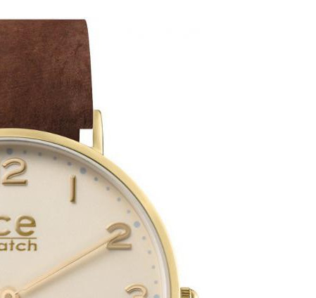 Ice Watch Ice City CHLADAR36N15 5