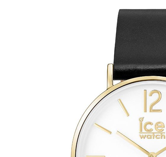 Ice Watch Ice City CTBGD41L16 4