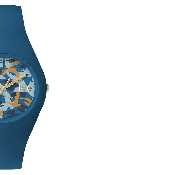 Ice Watch Ice Collection ICEFYDWRUS15 6