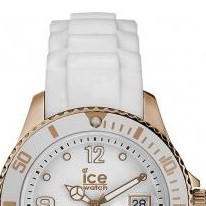Ice Watch Ice Metal ISWERUS13 3