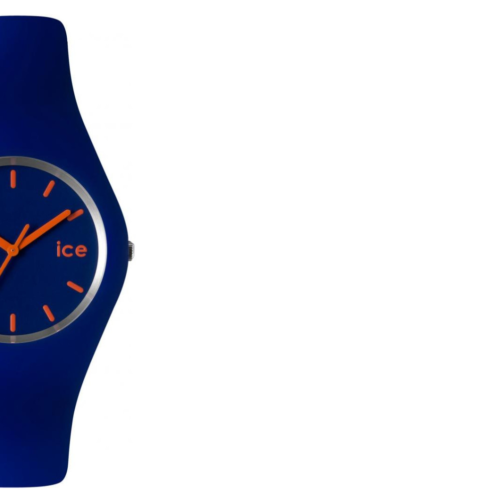 Ice Watch Ice collection ICEBEUS12 6