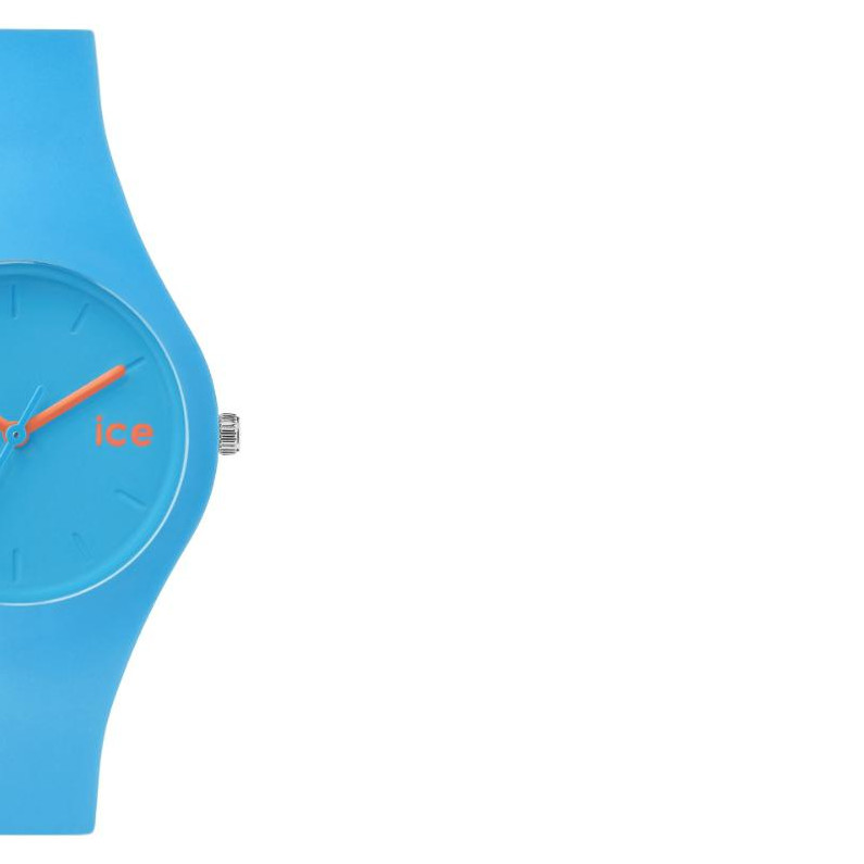 Ice Watch Ice collection ICECWNBESS14 6