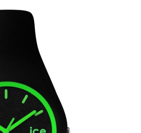 Ice Watch Ice collection ICECYGNUS13 5